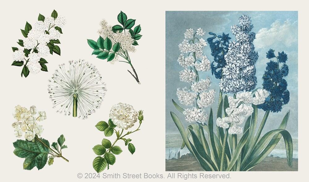 Blooms and Butterflies klistermærkebog